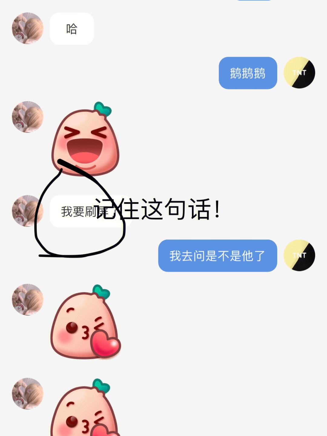 亲爱的大宝哥聊天记录(亲爱的大宝哥聊天记录视频)