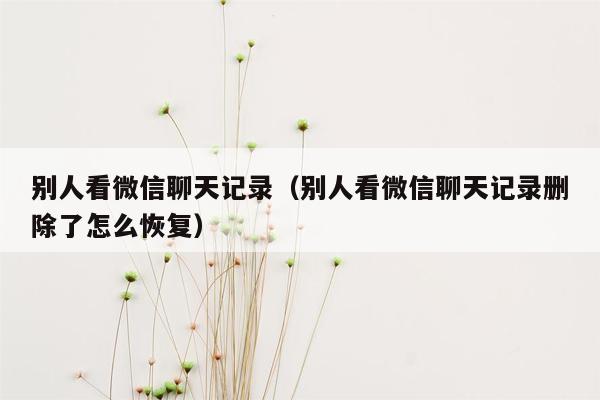 微信上对方发聊天记录(微信对方发聊天记录怎么删除)