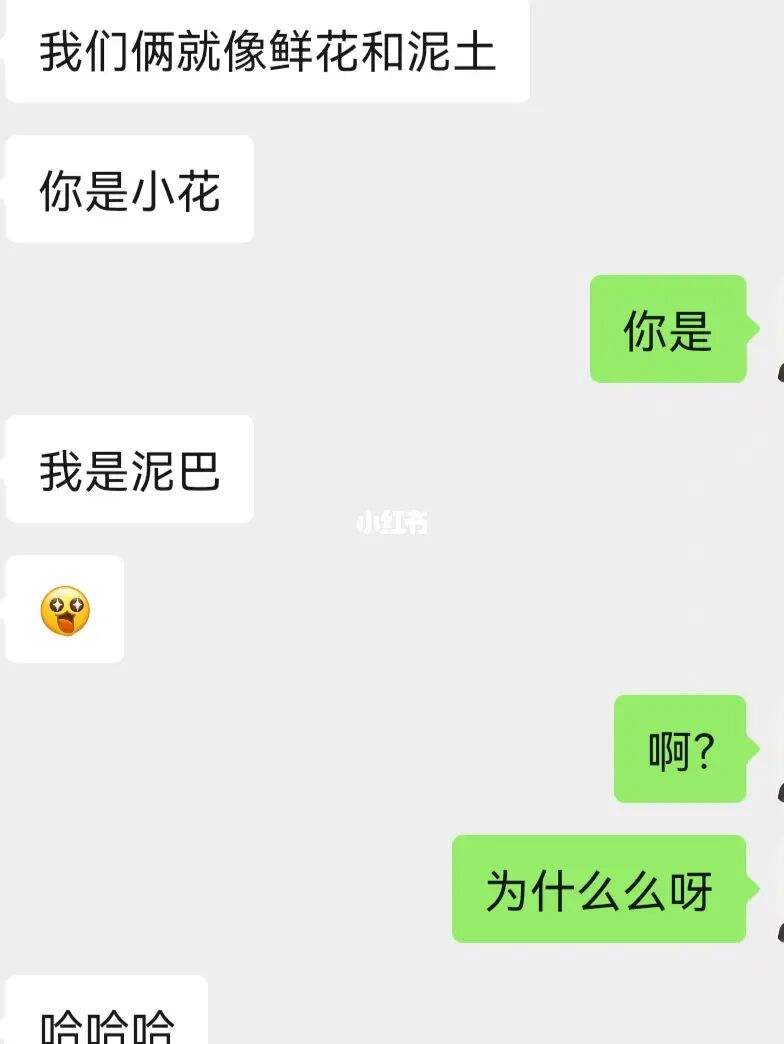 如何整兄弟聊天记录(如何整兄弟聊天记录图片)