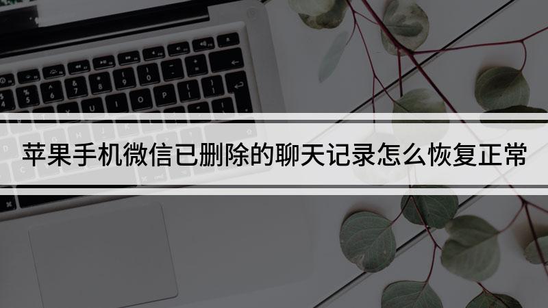 苹果微信怎么复原删掉的聊天记录(苹果微信怎么复原删掉的聊天记录图片)