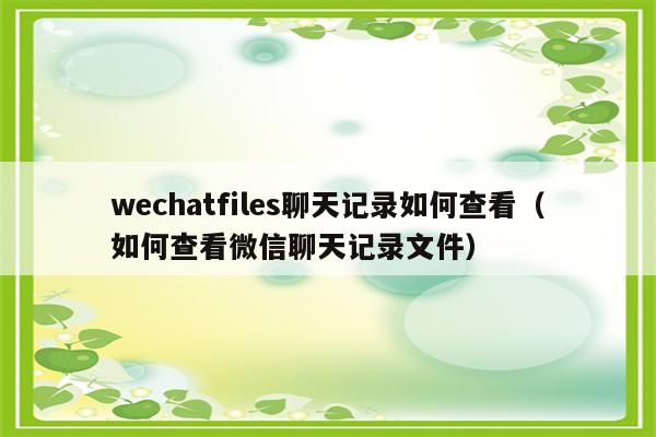 在微信哪里查看我和他的聊天记录(微信怎么查看跟谁聊过天的痕迹)