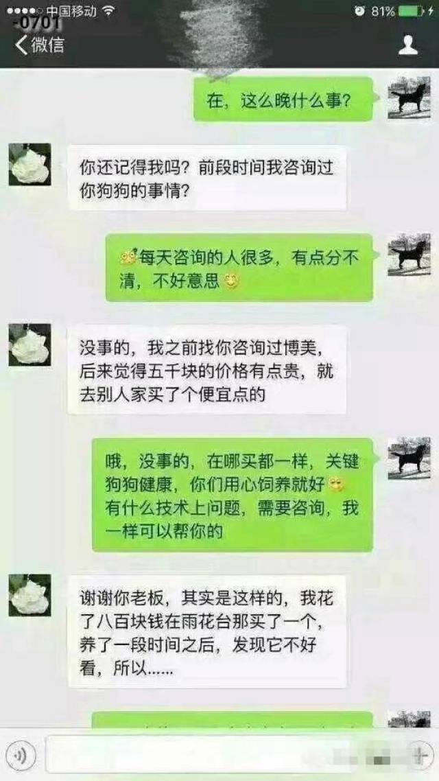 关于女人与狗的聊天记录的信息