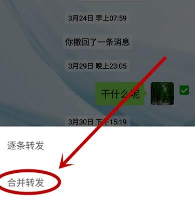 怎么发布微信聊天记录视频(怎么发布微信聊天记录视频给别人看)