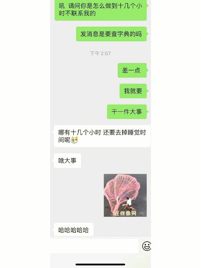 姑娘翻弟弟聊天记录(姑娘翻弟弟聊天记录怎么办)