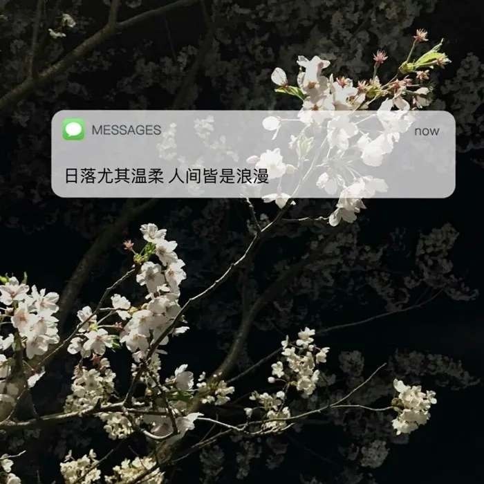 怎么看黑色背景的聊天记录(怎么查看聊天背景图)