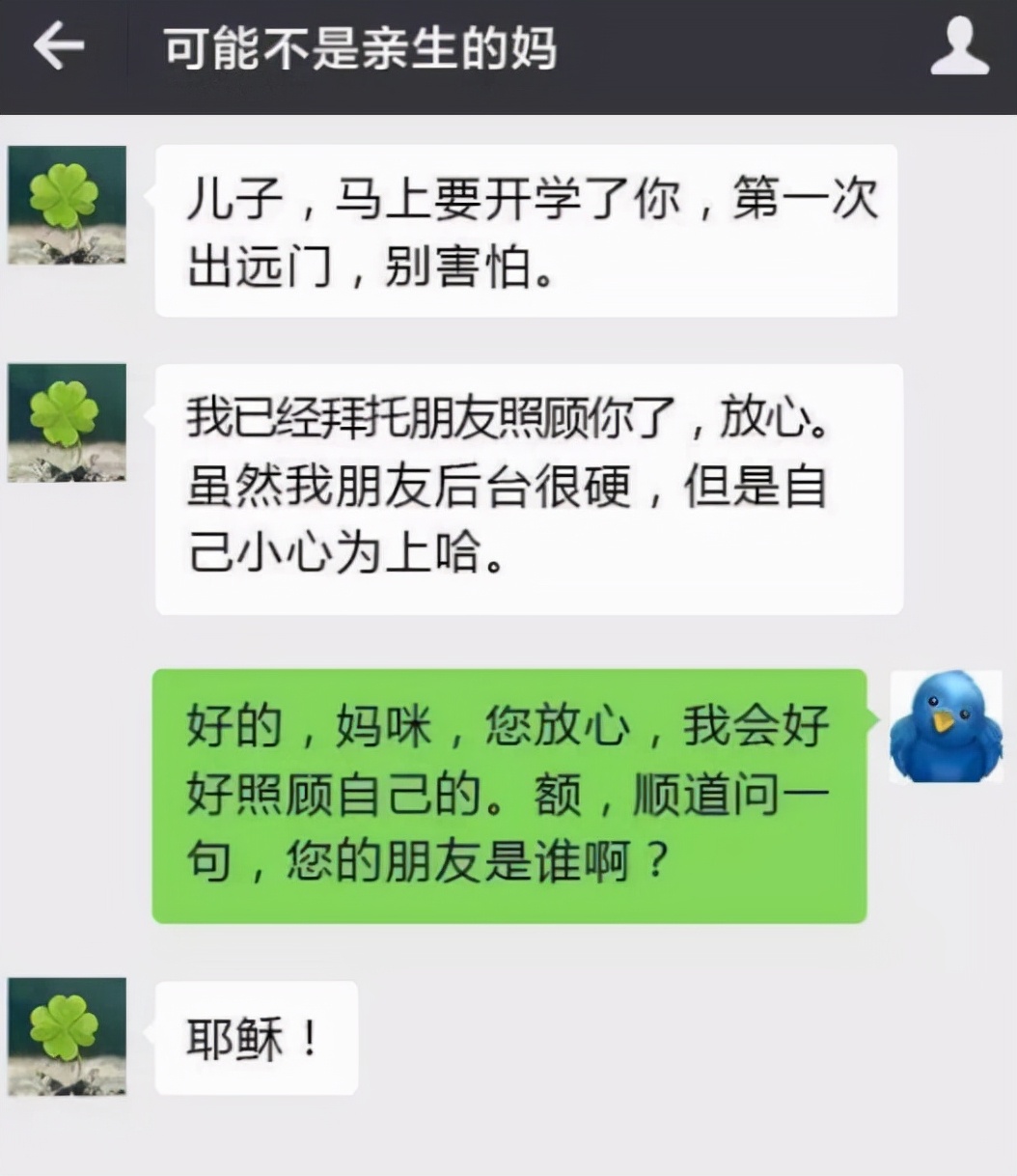 母亲喜欢偷看孩子聊天记录(母亲看孩子聊天记录违不违法)