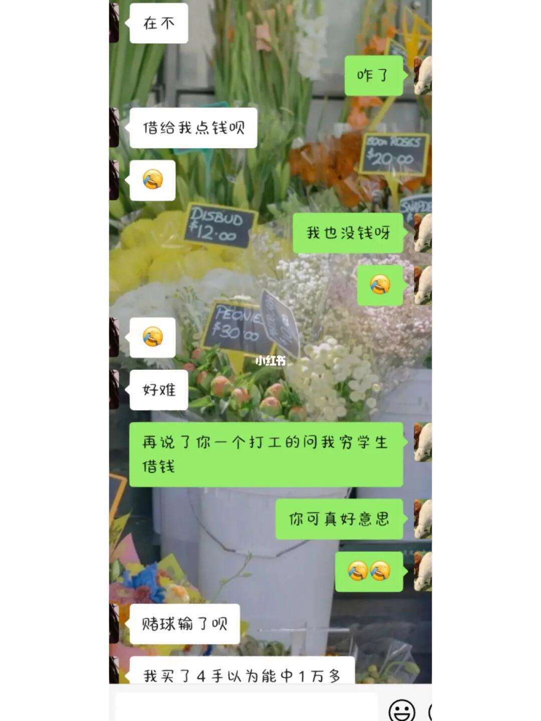 逗异性朋友开心的聊天记录(和朋友聊天话题100句幽默)