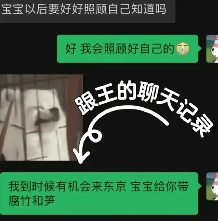 聊天记录告别图片(聊天记录伤感背景图文字图片)