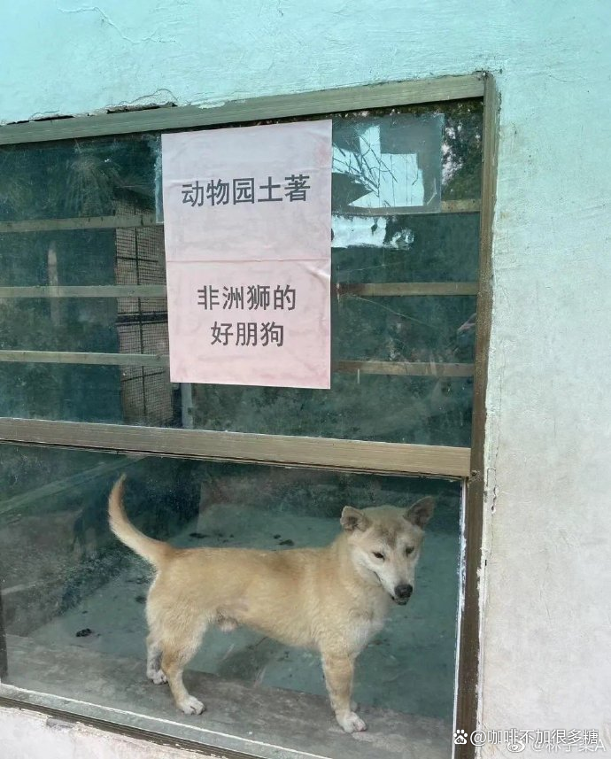 男生去动物园的敷衍聊天记录(男生不找你聊天但是约你出去玩)