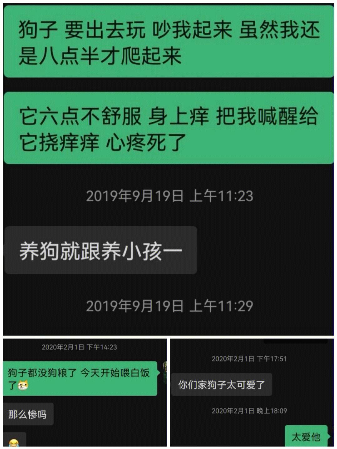 qq聊天记录自动冒出来(删除的聊天记录能恢复吗)