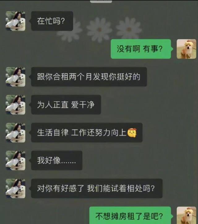 网友沙雕聊天记录(网友沙雕聊天记录图片)