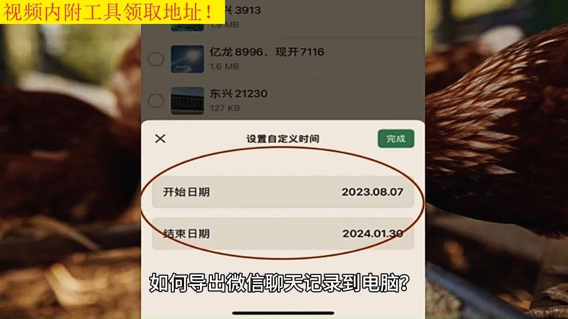 查询微信聊天记录的网站(查微信聊天记录到哪里去查)