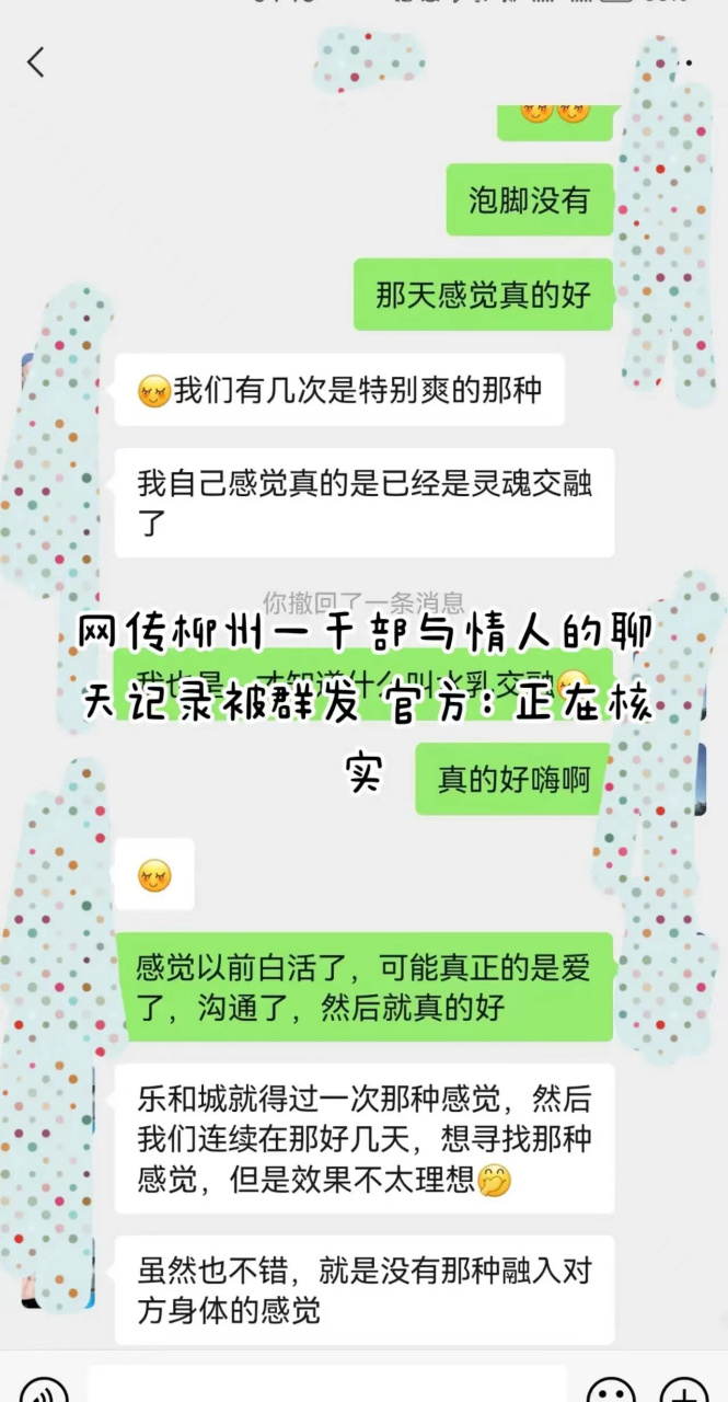 女情人与网友聊天记录(高情商女人和情人微信聊天)